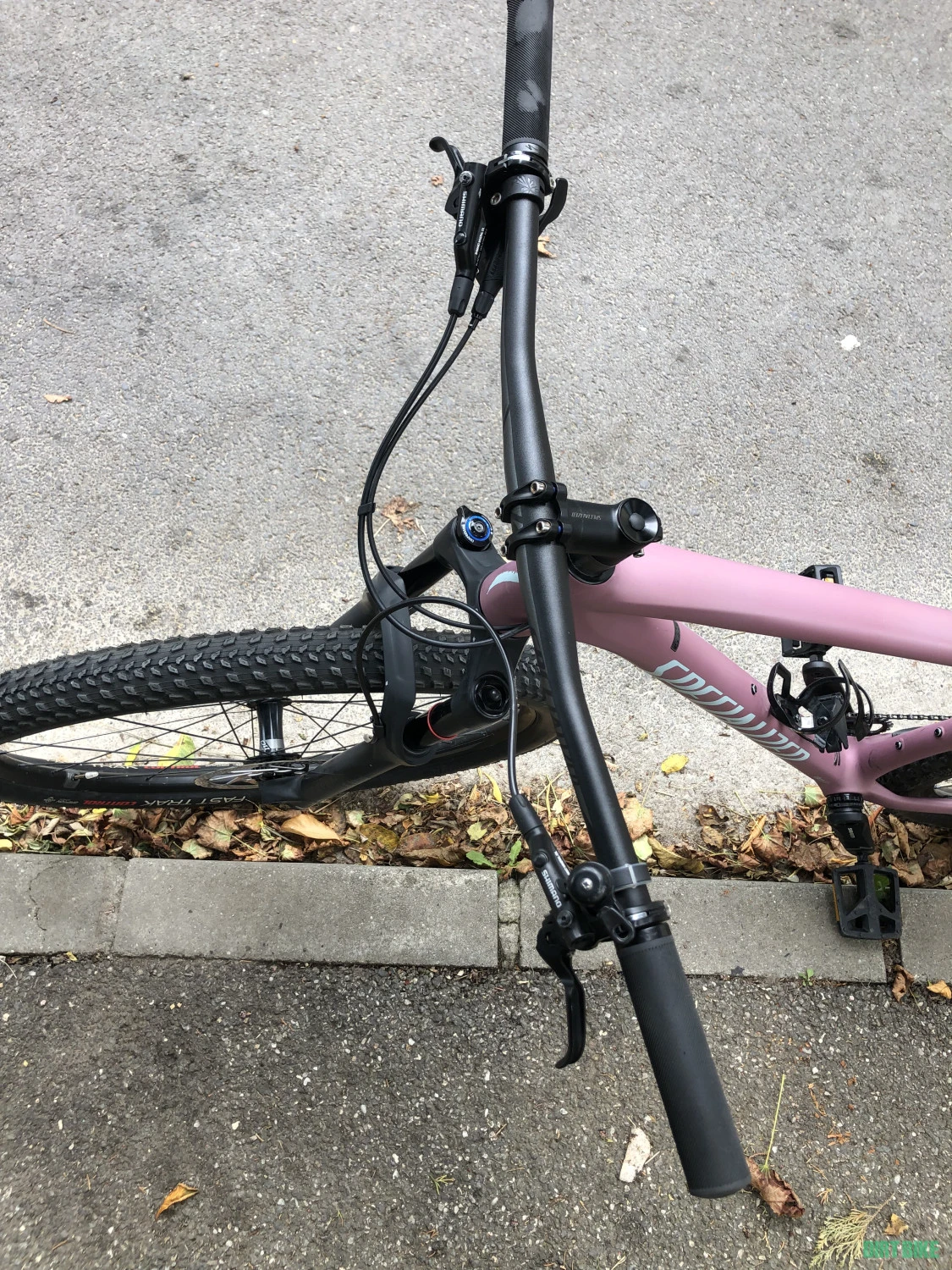 1. Specialized Epic