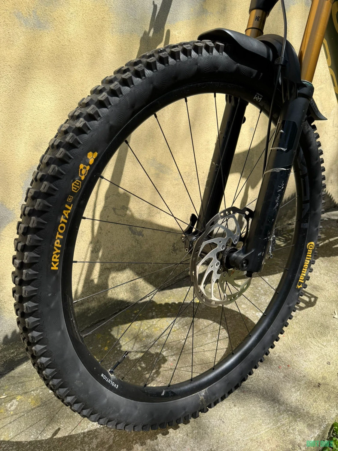 11. Orbea occam m10 29 carbon 2022 1x12 fox36 kashima deore xt
