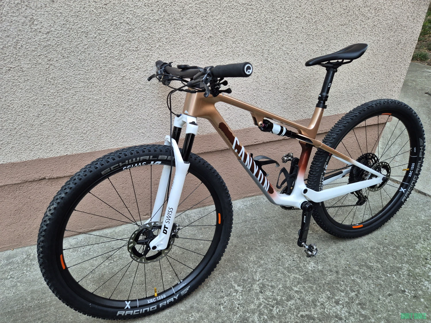 1. Lux World Cup CFR Untamed