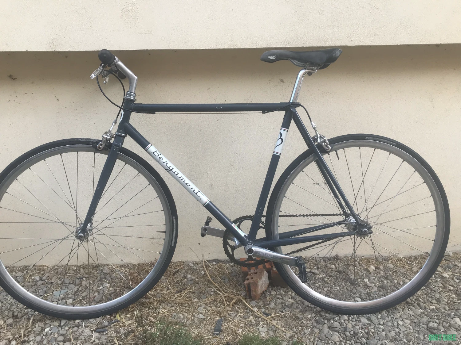 2. Single speed( fixie) otel Bergamont