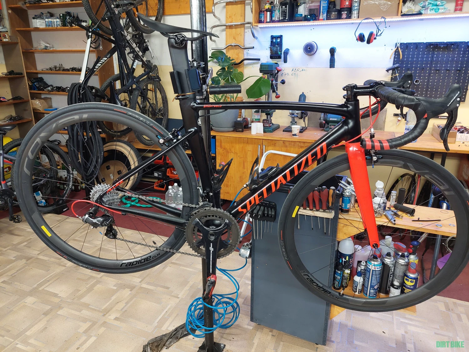 1. SPECIALIZED ALLEZ SPRINT DSW D'ALUSIO SMARTWELO e5 SL - Editie Limitata