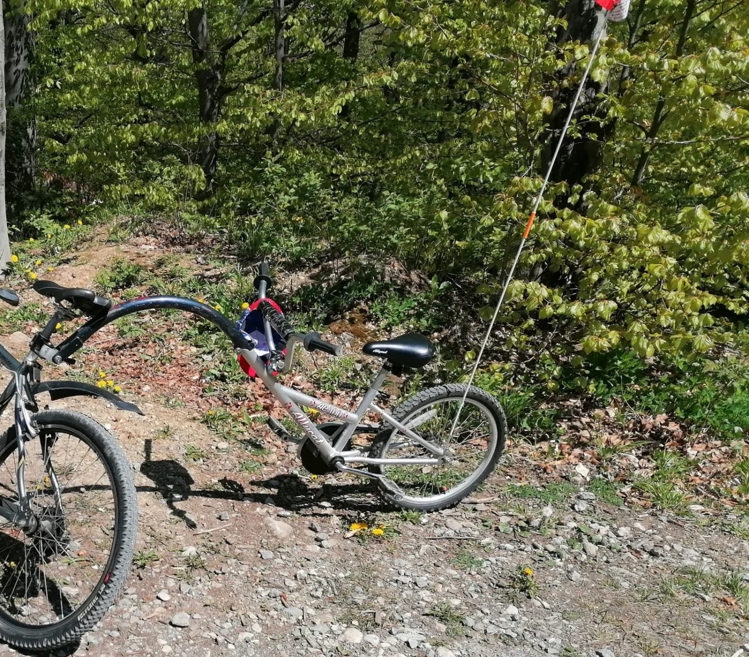 1. Atas bicicleta