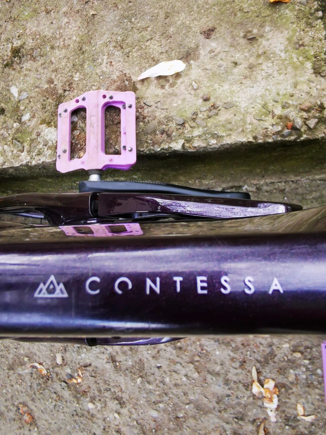 10. Scott Genius Contessa 920 model 2020