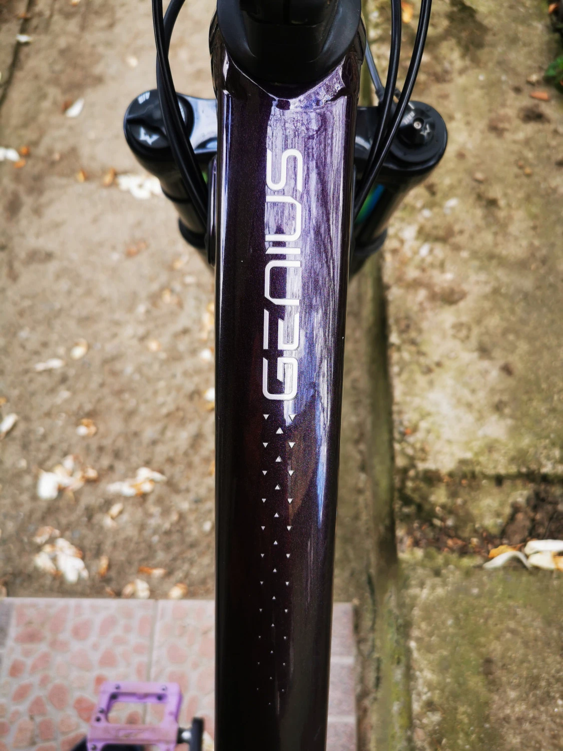4. Scott Genius Contessa 920 model 2020