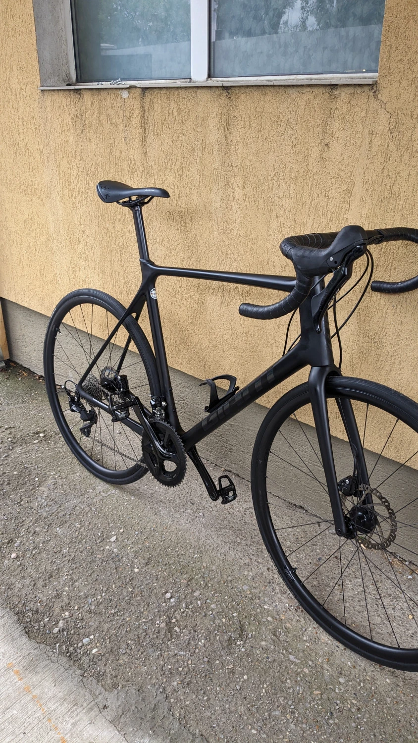 1. Cursiera Giant TCR disc