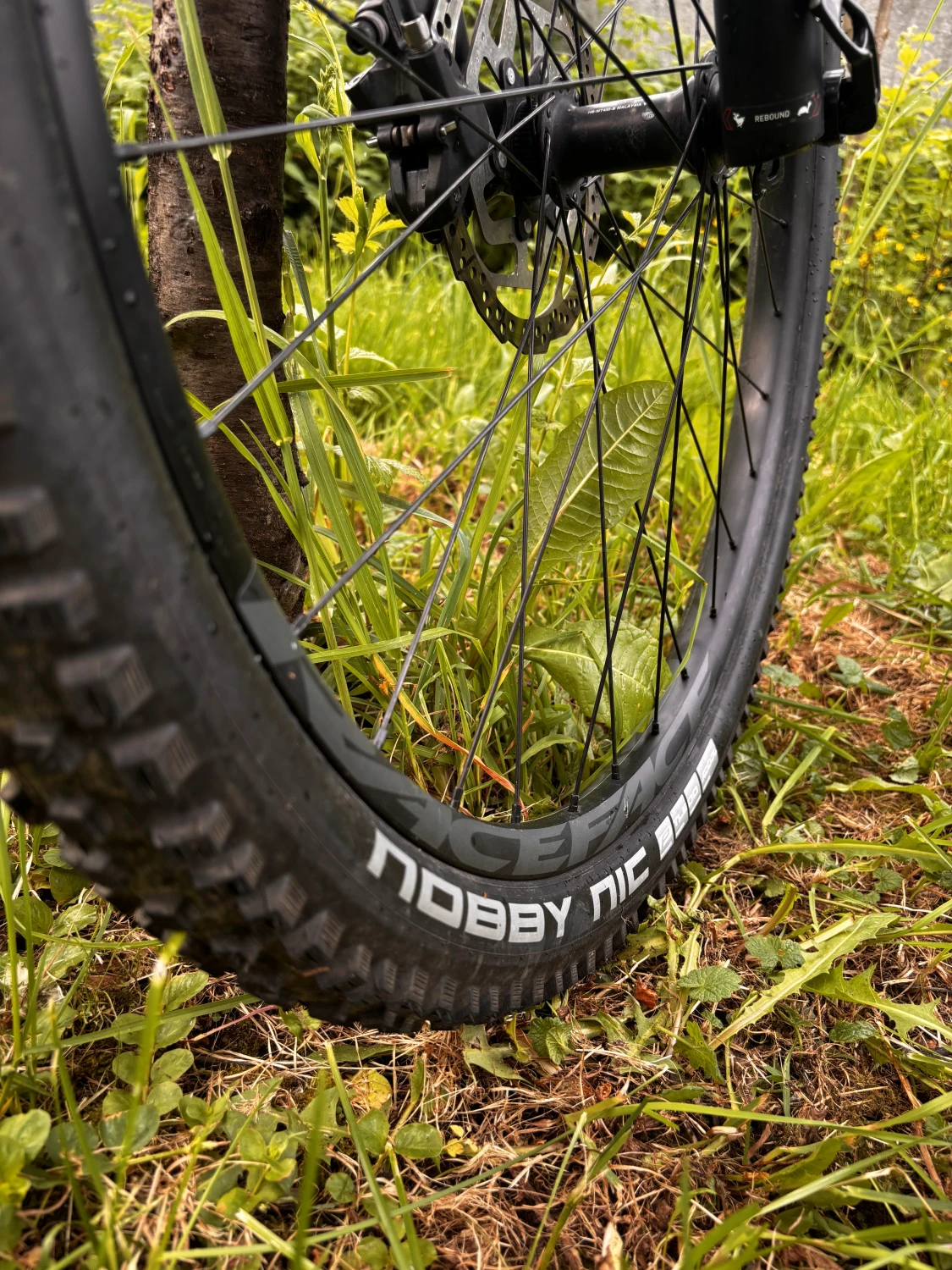 10. MTB Canyon Neuron 5, full suspension