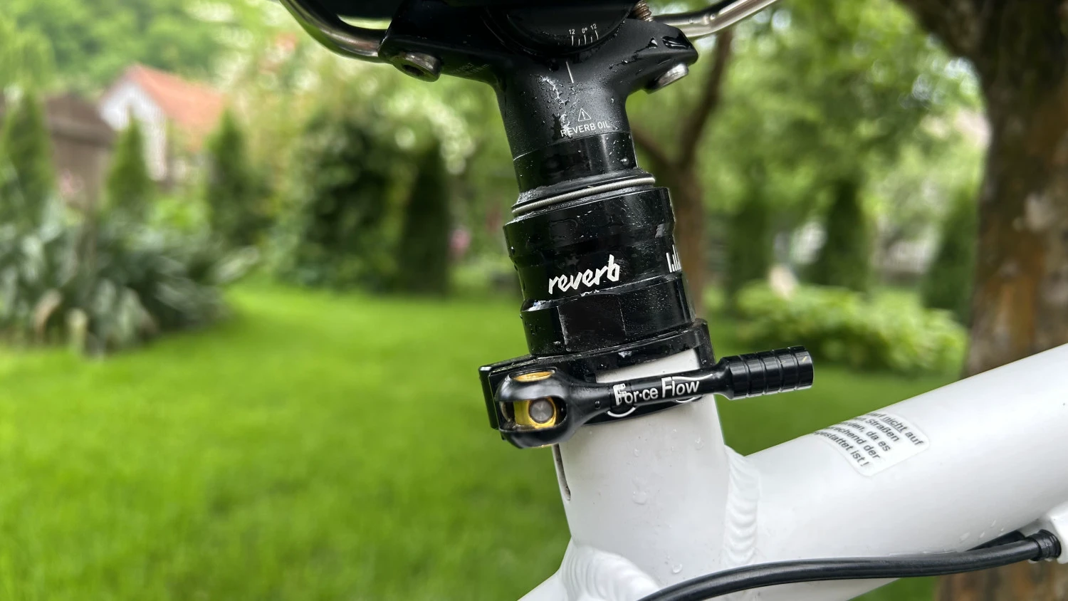 2. MTB Focus Black Forest M