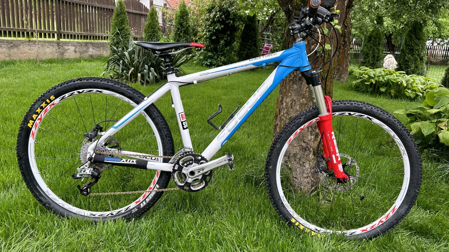 1. MTB Focus Black Forest M