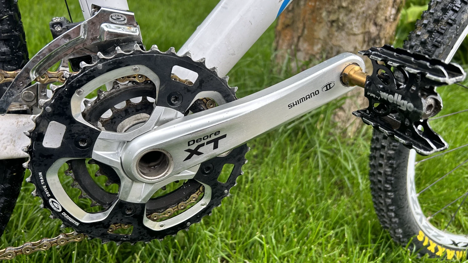 3. MTB Focus Black Forest M