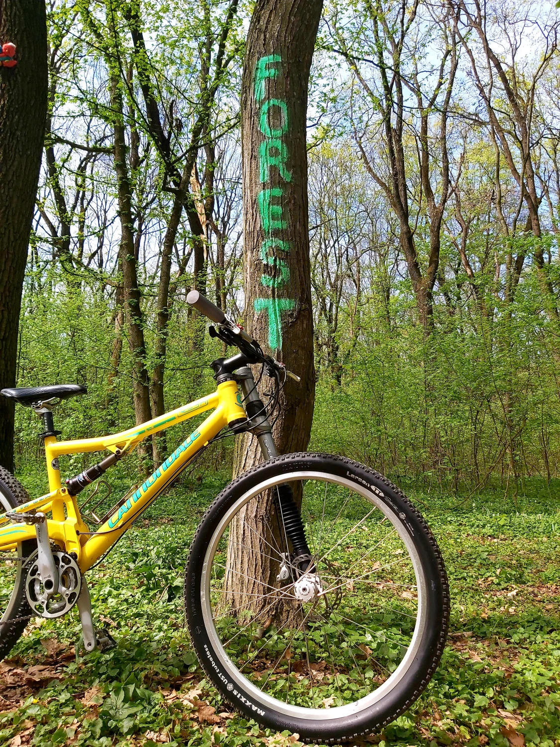 2. MTB Full Suspension Cannondale Rush
