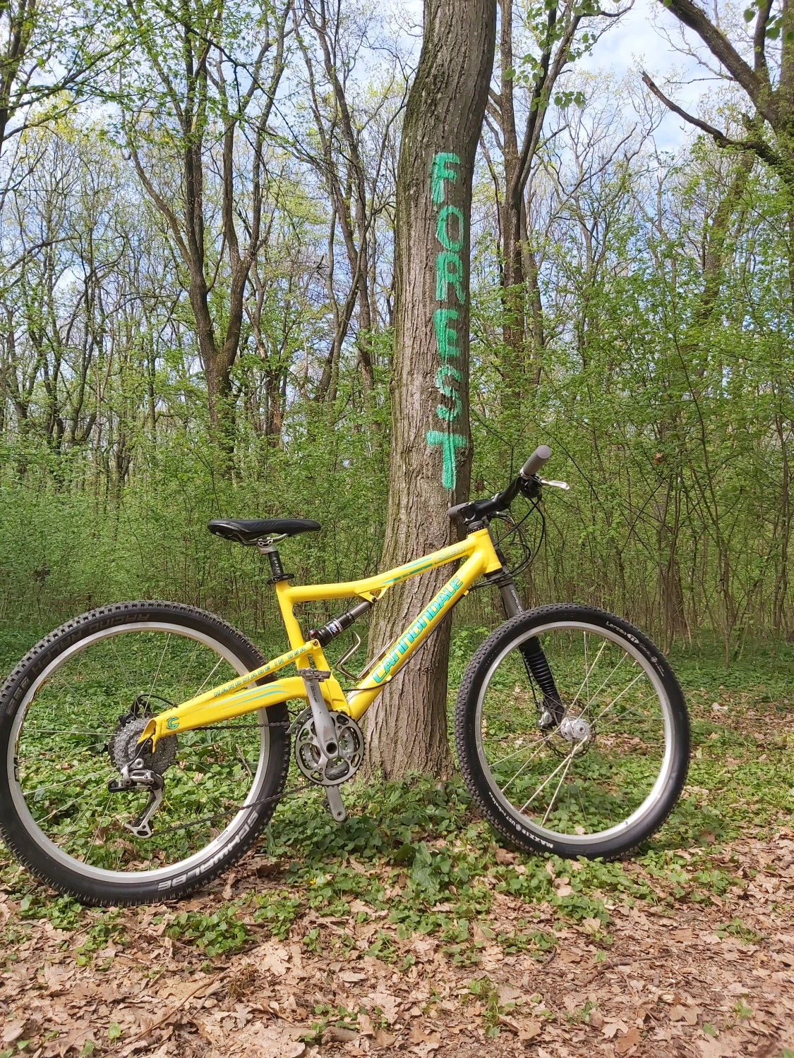 3. MTB Full Suspension Cannondale Rush