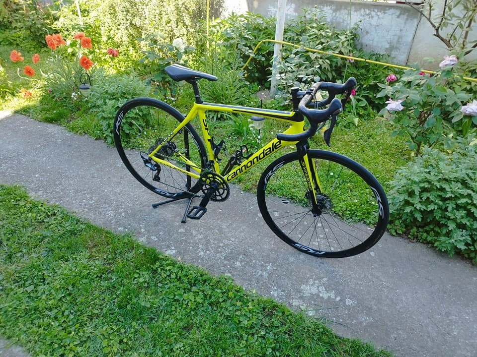 6. Cursiera Cannondale Synapse
