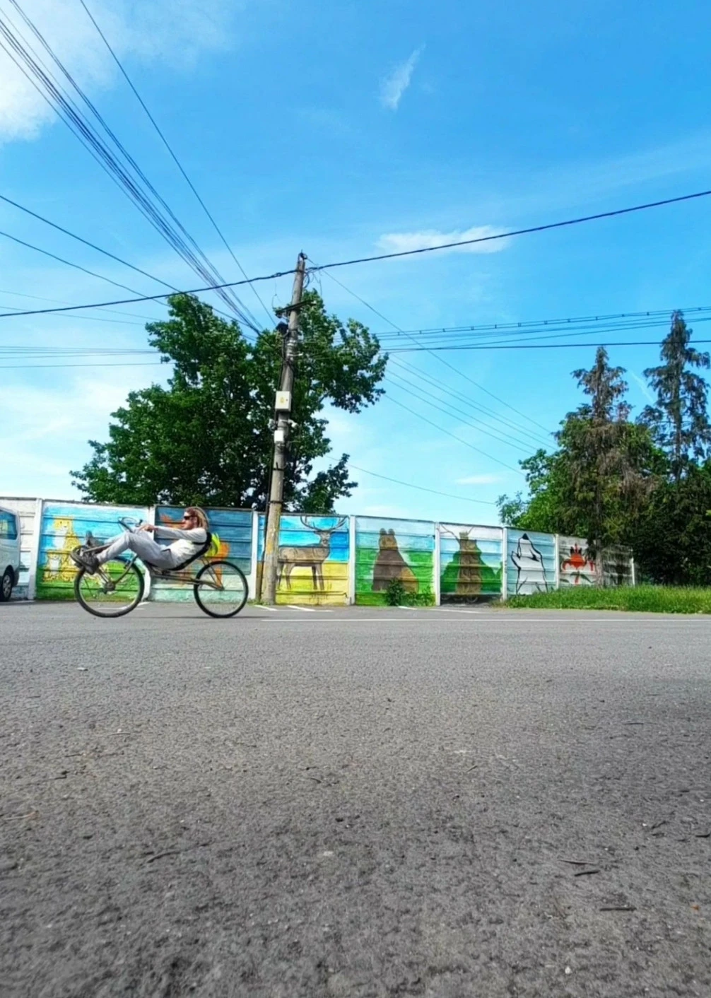 3. Bicicletă orizontală - recumbent