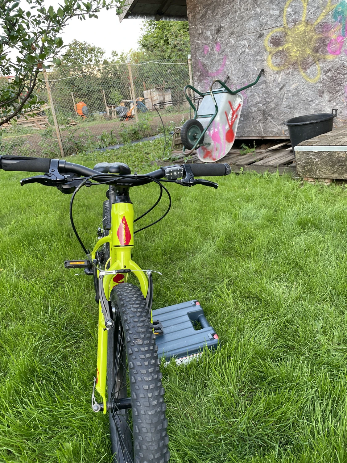 3. Bicicleta Orbea dirt 20"