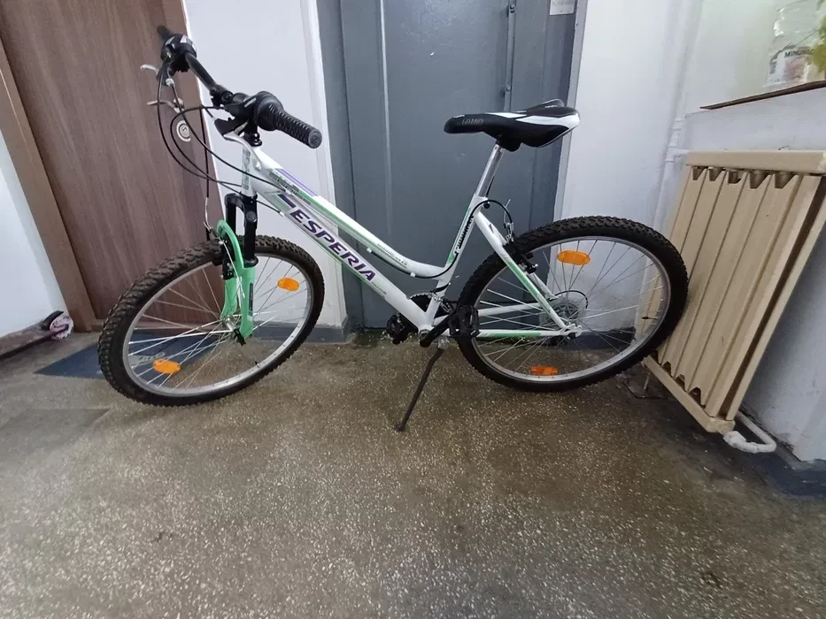 6. Bicicletă Dama Esperia MTB