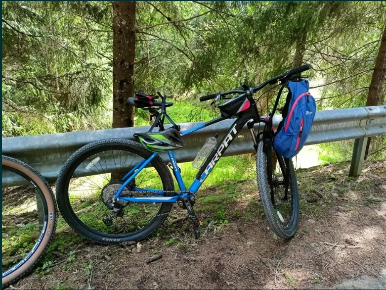 1. Bicicleta MTB 29 inch 1 X 12 viteze
