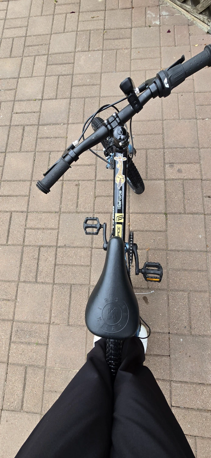 4. Mondraker Leader 16 Kids (6 speed)