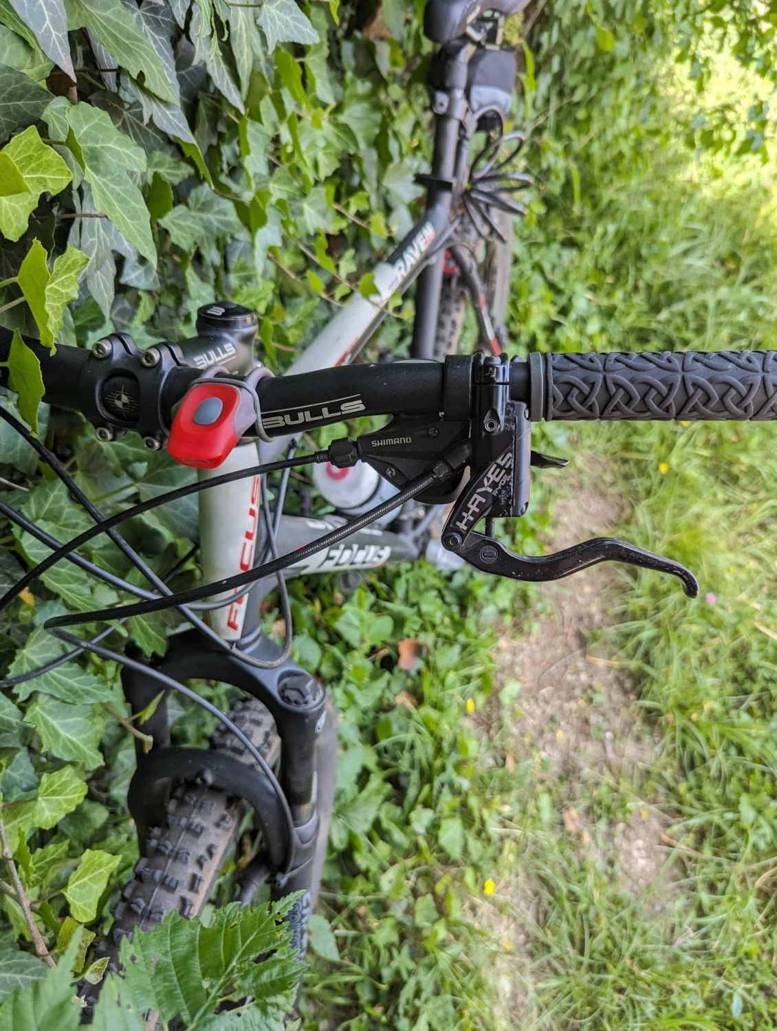 4. Bicicleta MTB FOCUS RAVEN 26", 54 cm