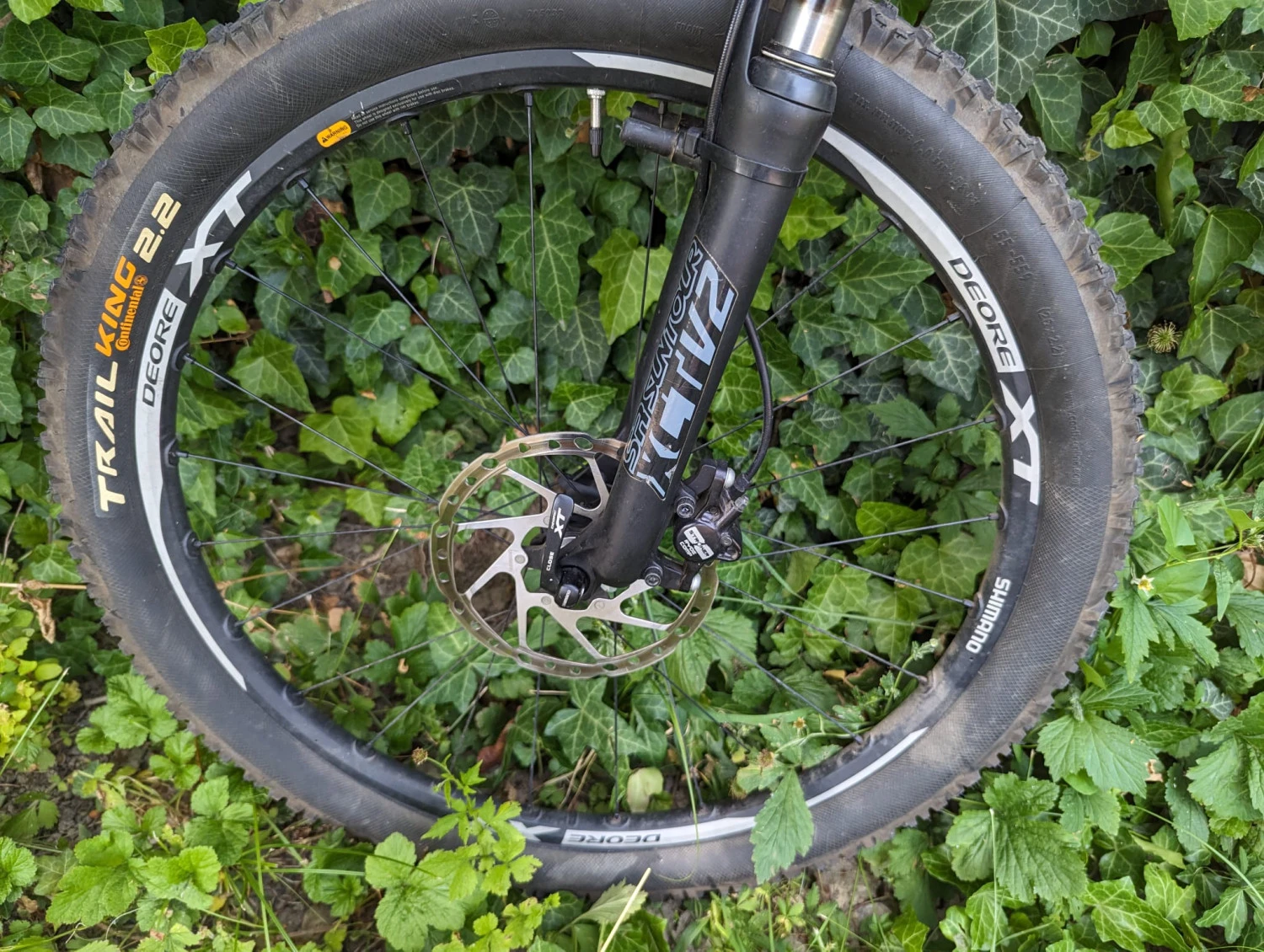 3. Bicicleta MTB FOCUS RAVEN 26", 54 cm
