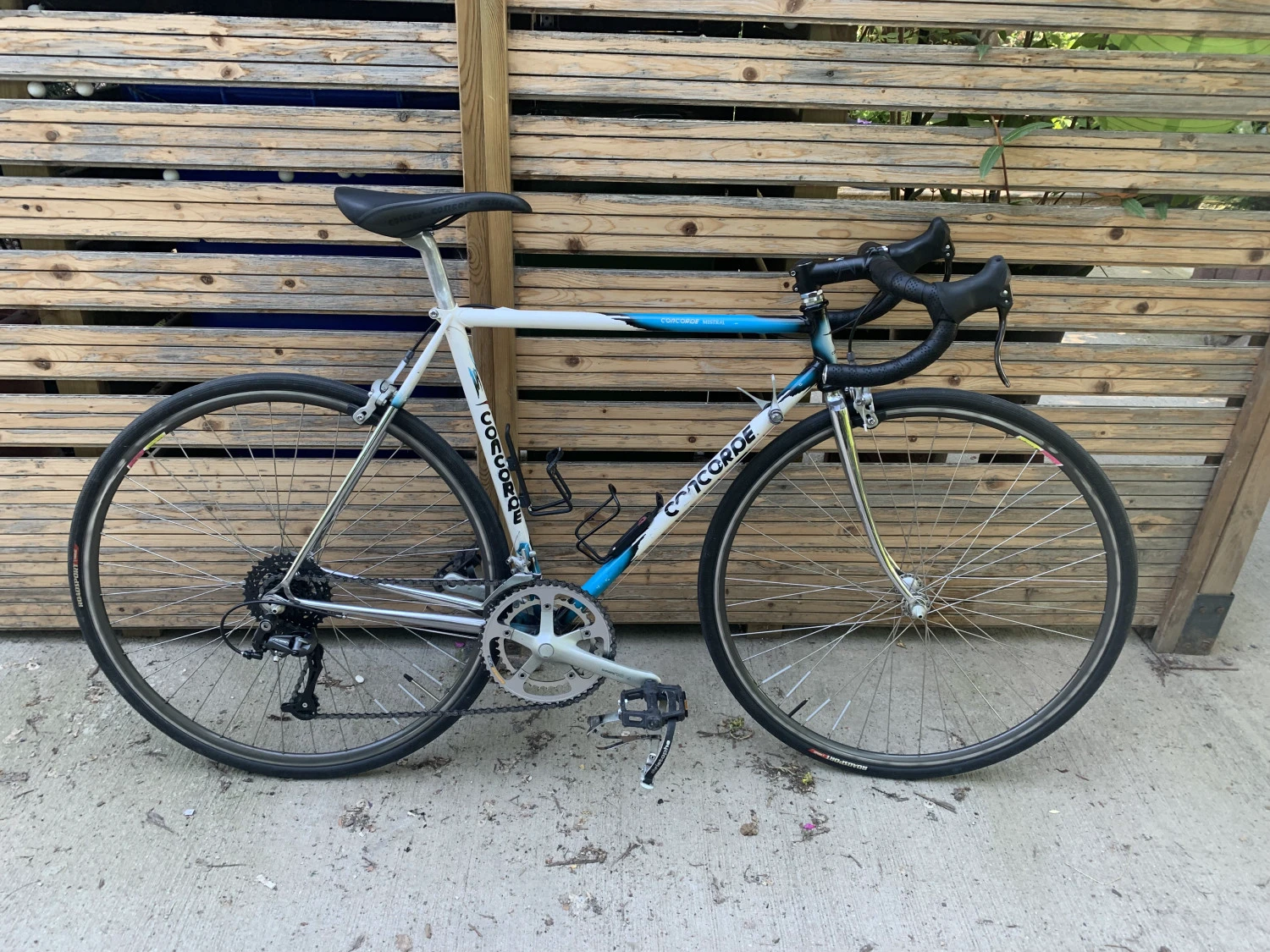 1. Cursiera concorde mistral