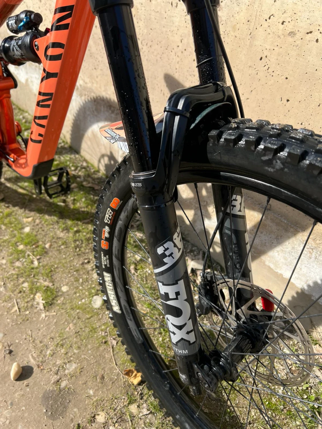 2. Canyon spectral 5