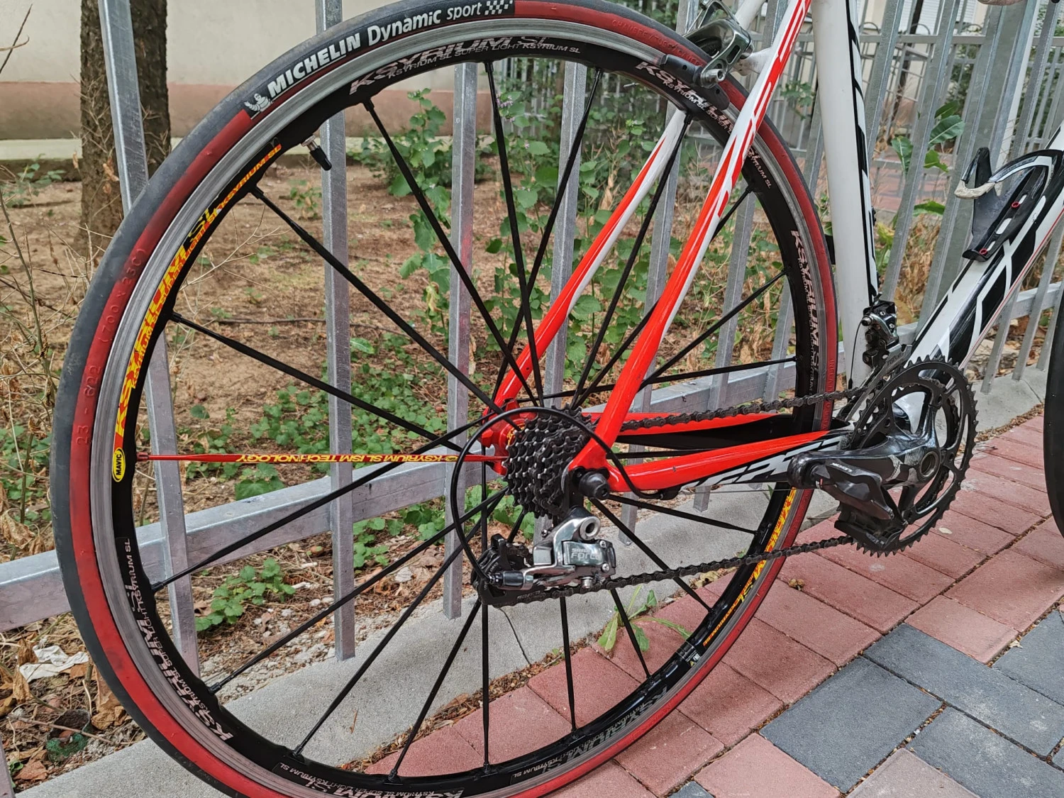 4. Cursiera carbon mărimea 56