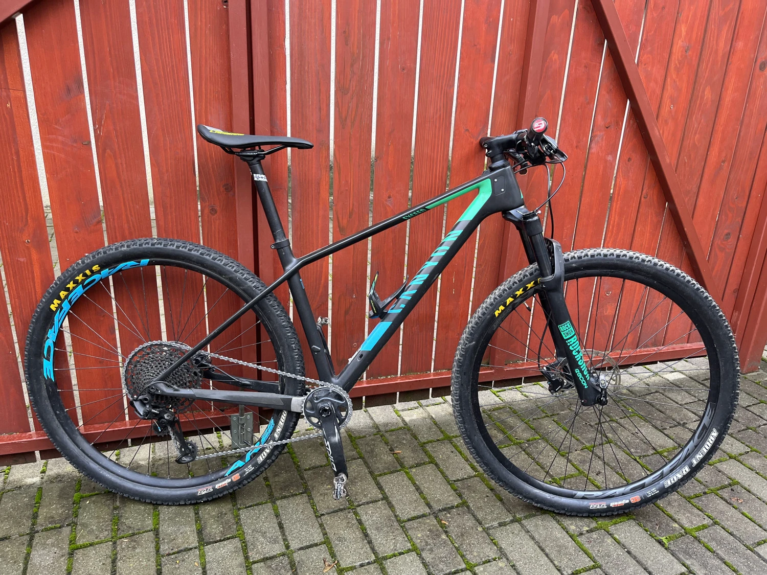 1. Canyon Exceed CF 5.0 29" carbon