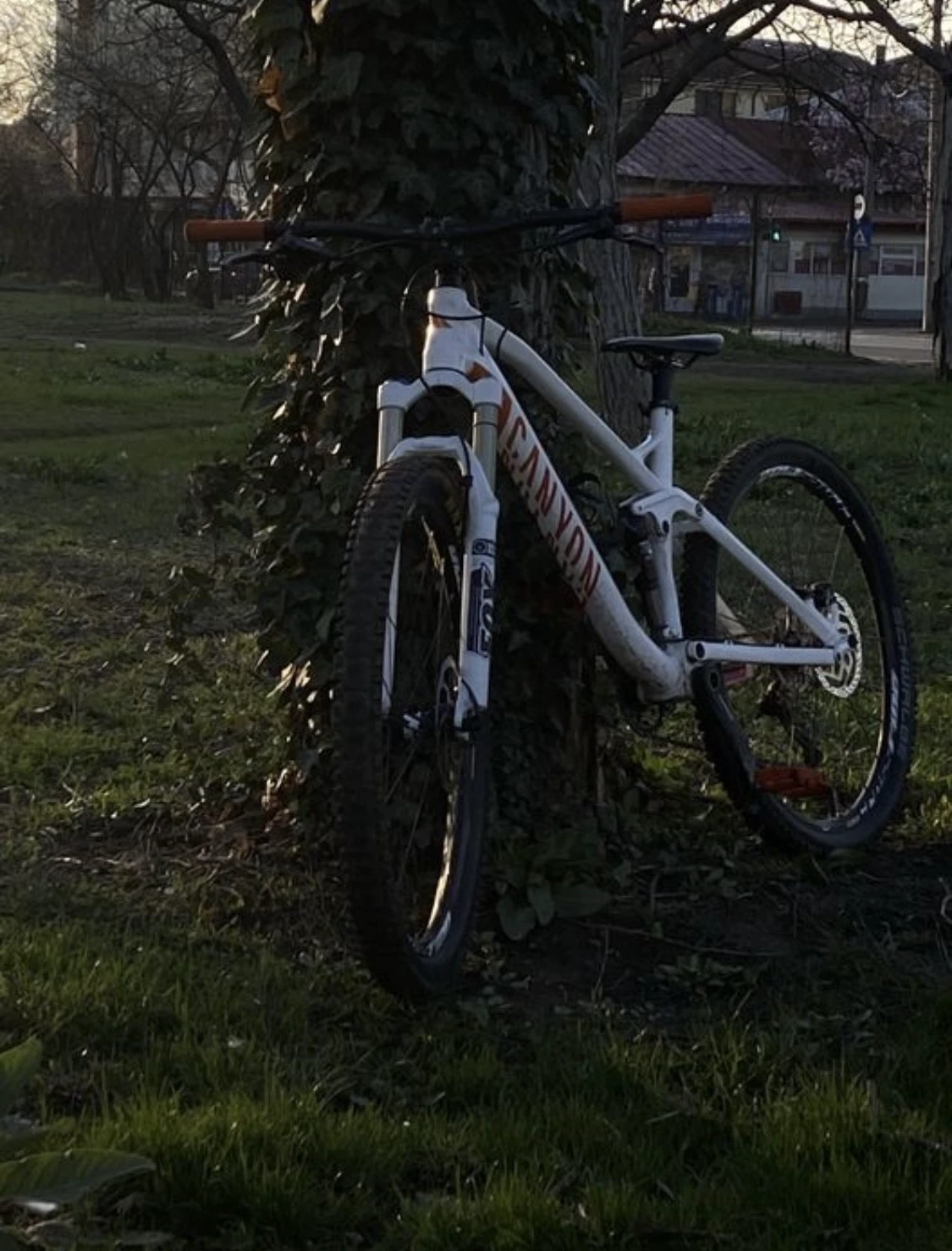 1. Vand Bicicleta Canyon Nerve 7.0