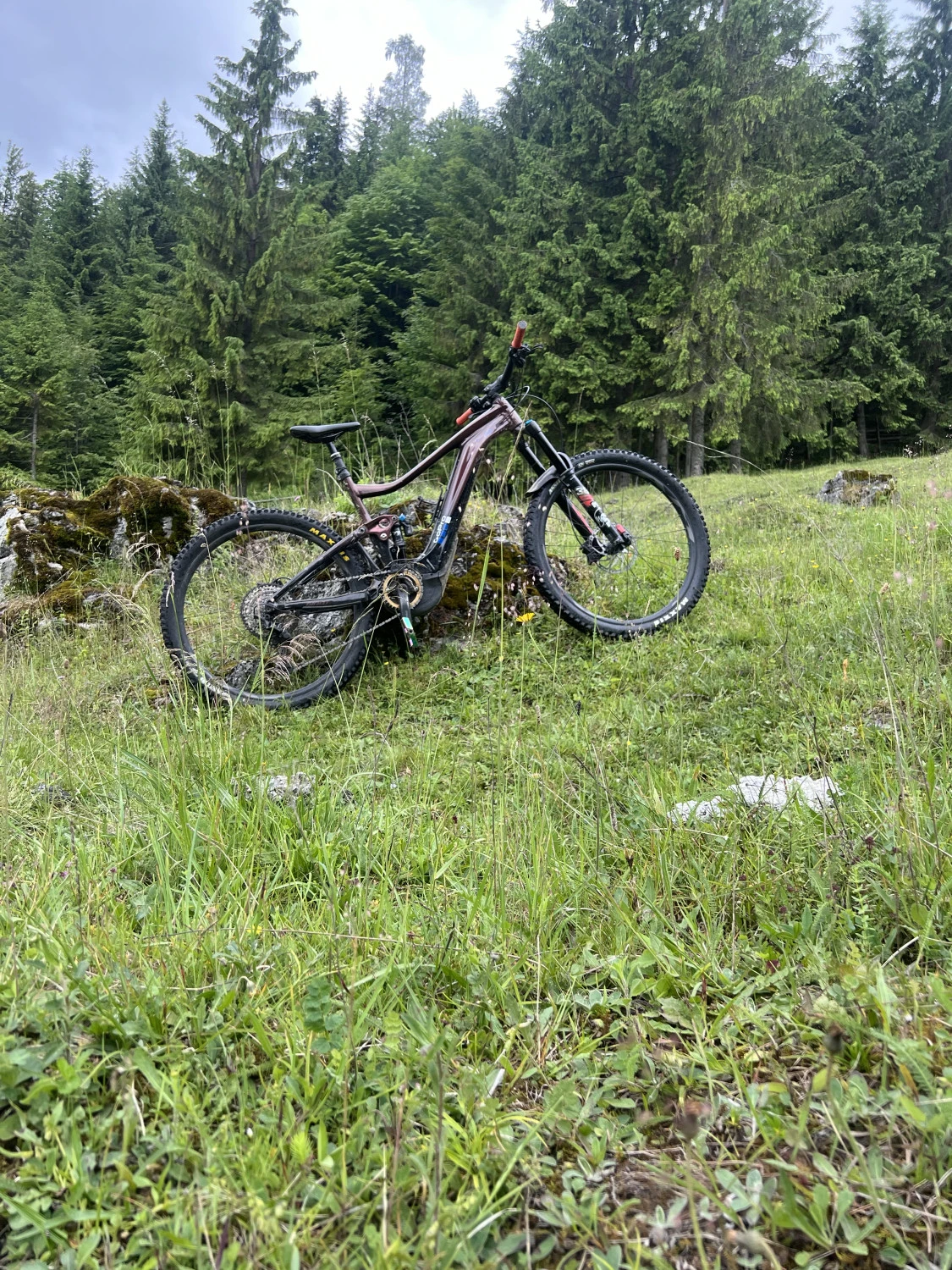 1. Vând bicicletă giant