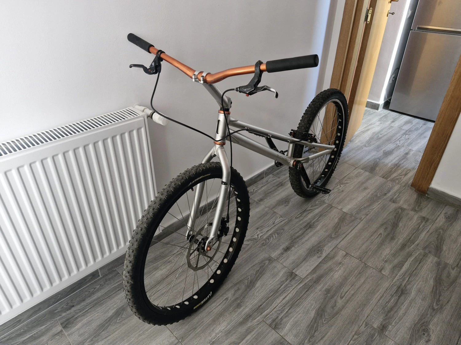 1. Echo trial Bike