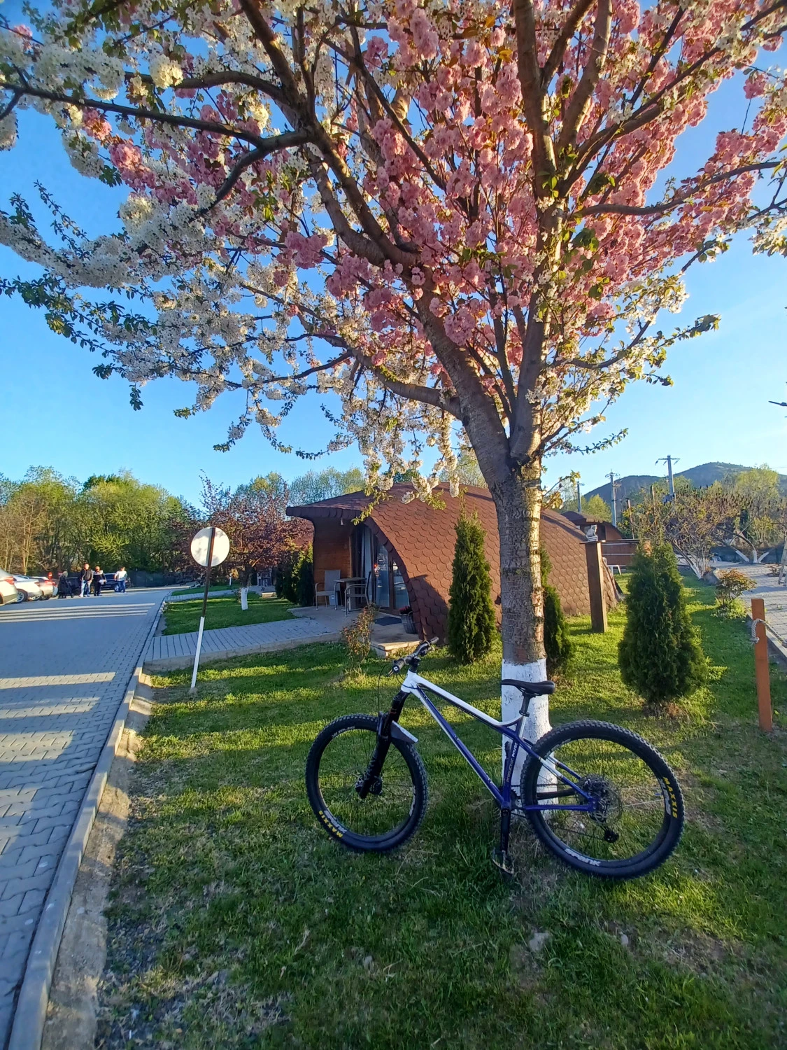 3. Vând Bicicleta Production Privee Shan GT