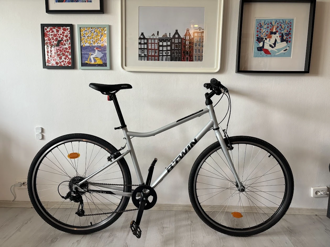 1. Bicicletă polivalentă Riverside 120 marime M (1,66 m - 1,77 m)