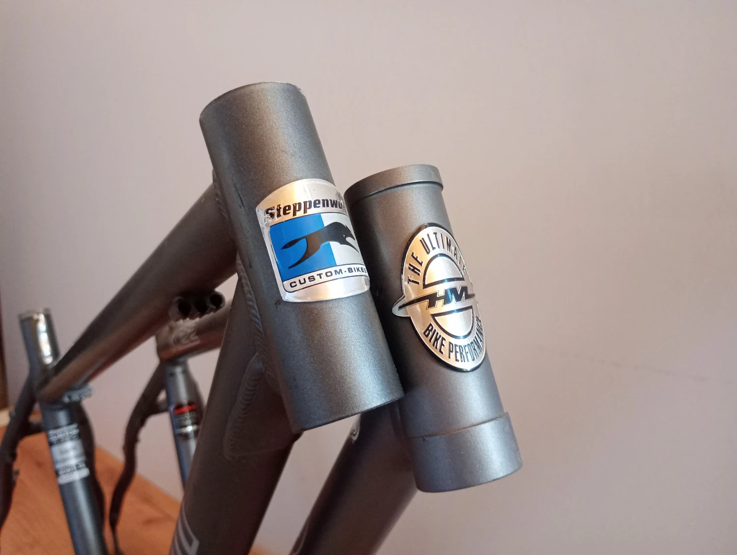 1. Steppenwolf 48cm