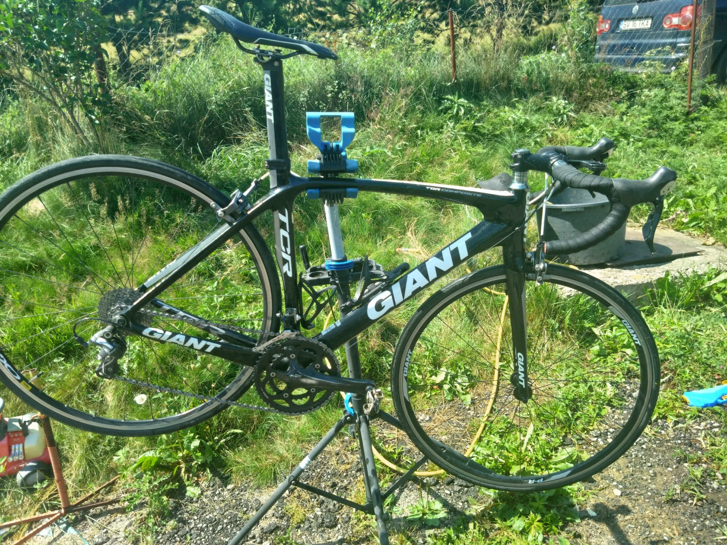 8. Cursiera giant tcr composite