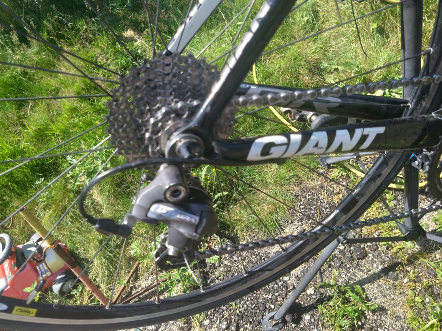9. Cursiera giant tcr composite