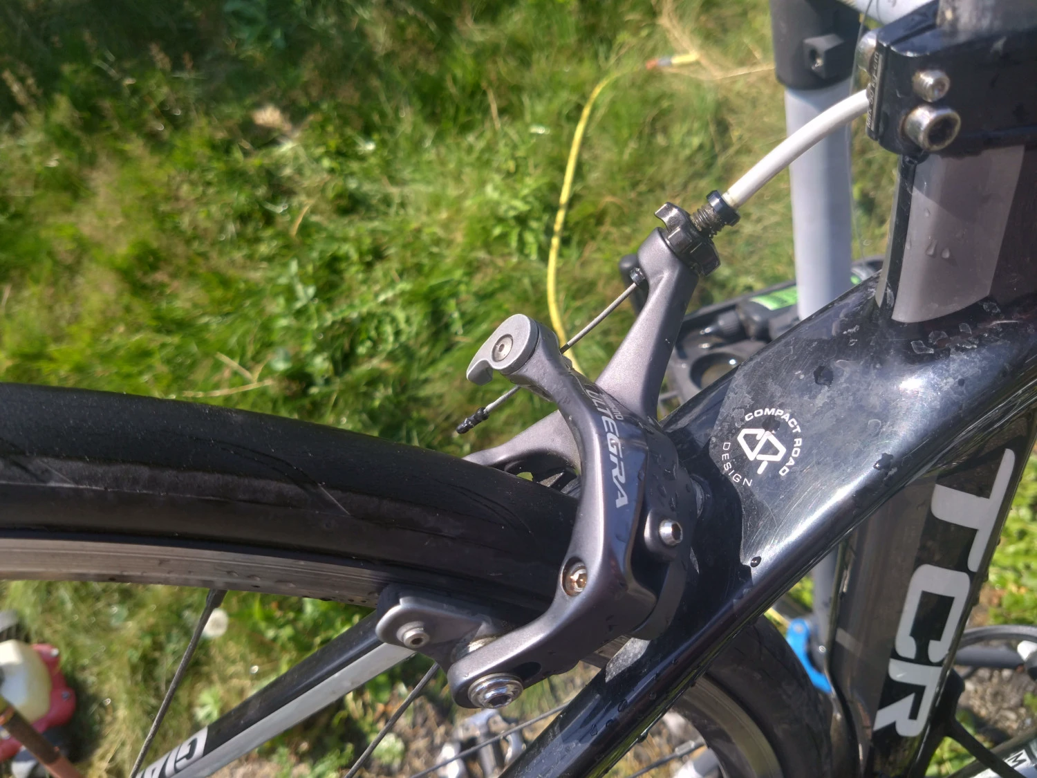 3. Cursiera giant tcr composite