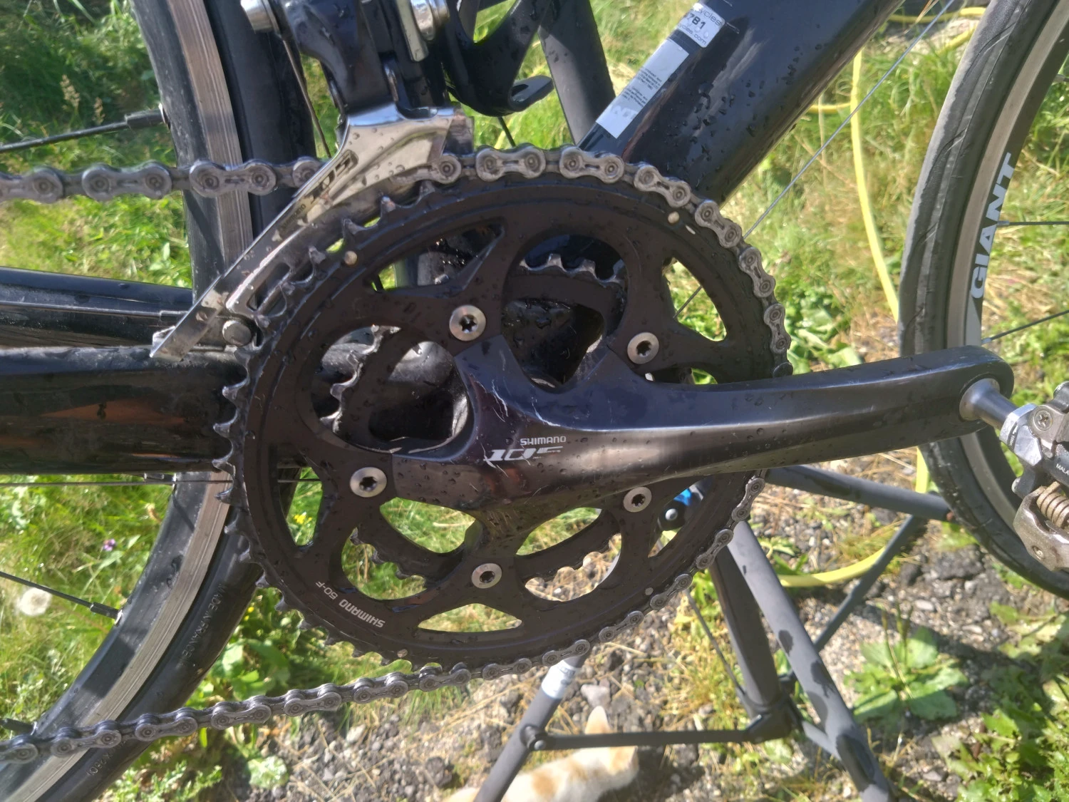 4. Cursiera giant tcr composite