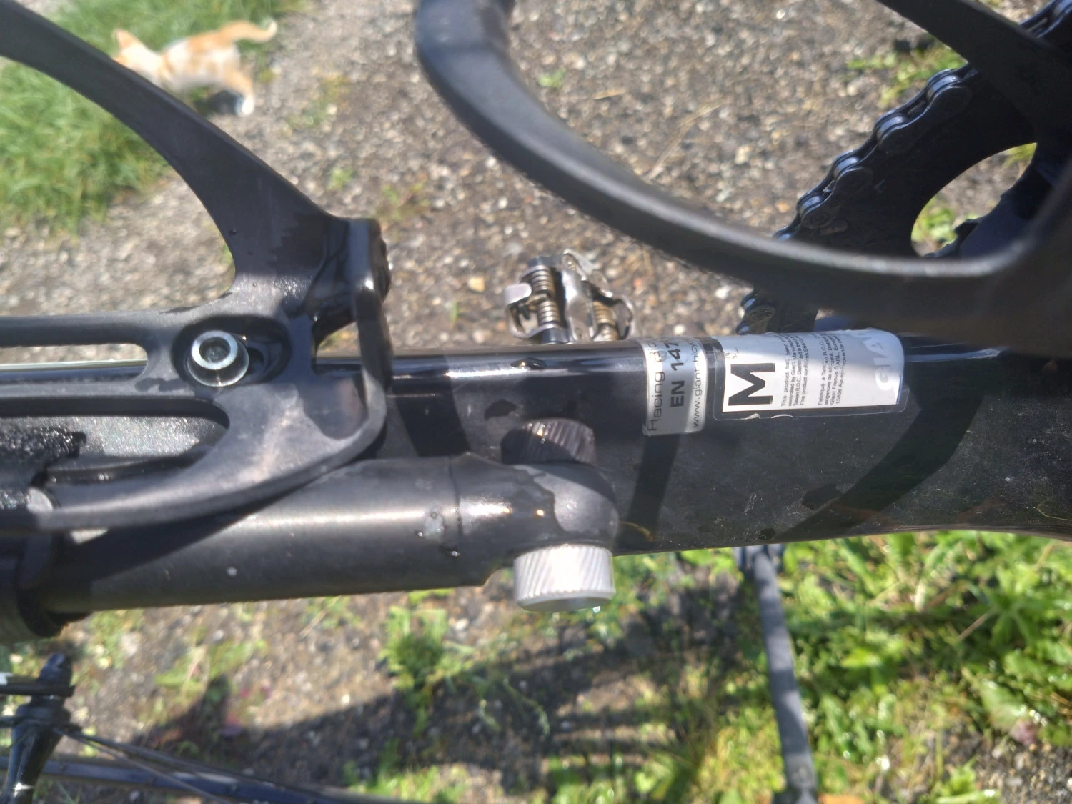 1. Cursiera giant tcr composite