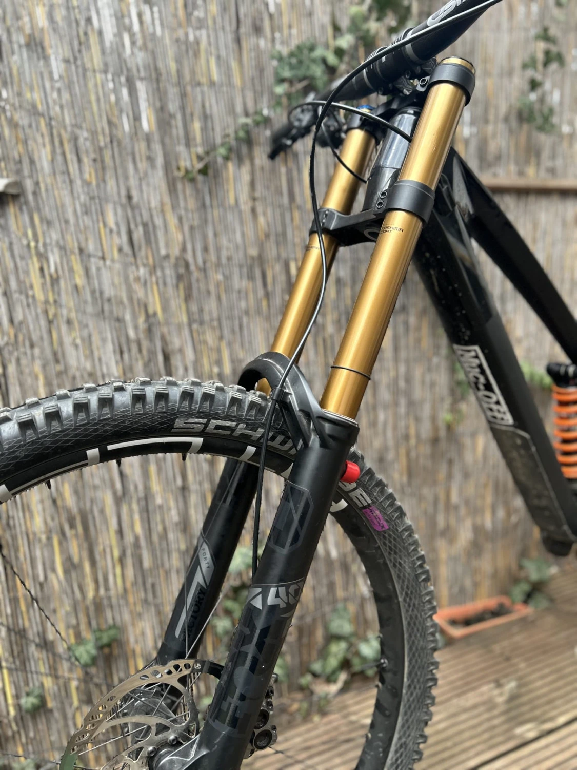 1. Vand fox 40 kashima aproape nou
