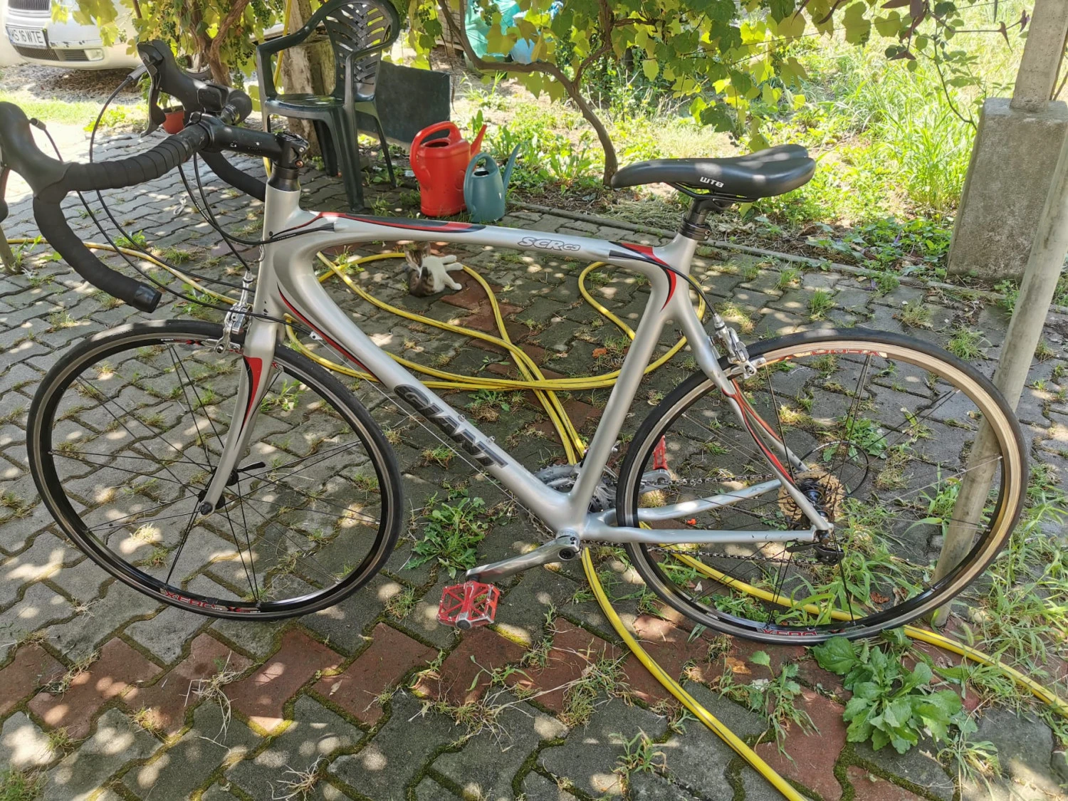 1. Giant scr c3 Carbon