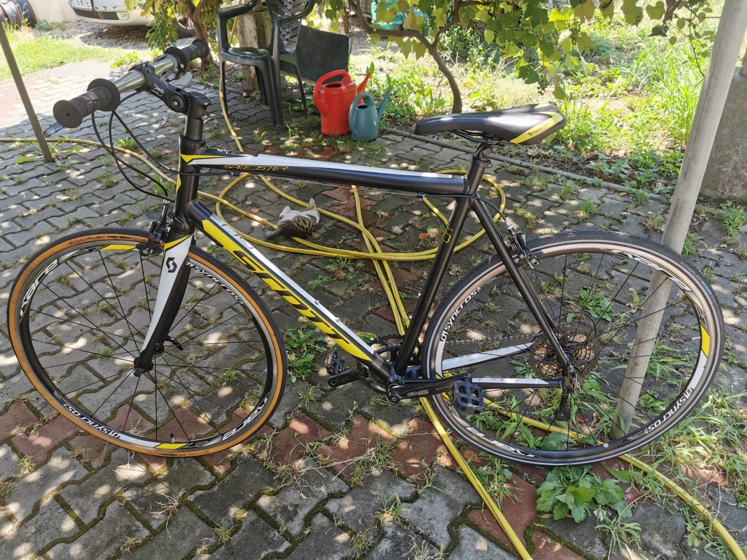 1. Scott speedster 60 2015