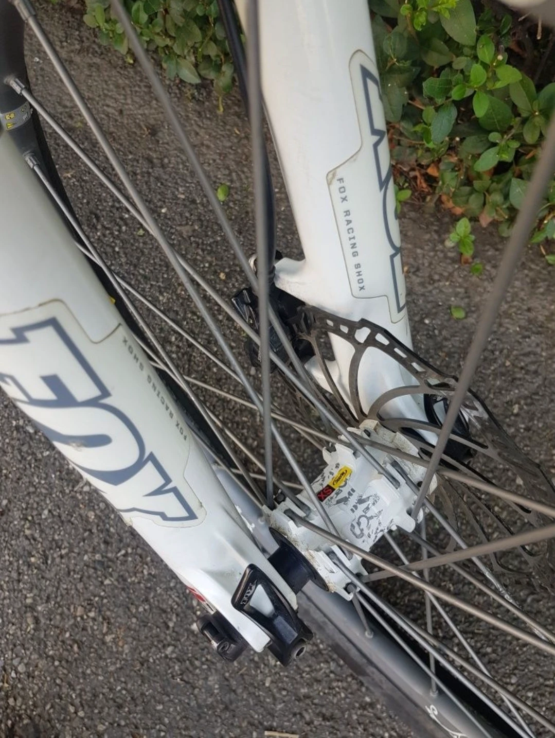 1. Canyon torque Saint fox dhx