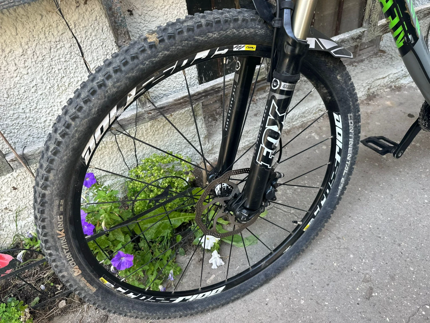 9. Canyon Nerve Al 29