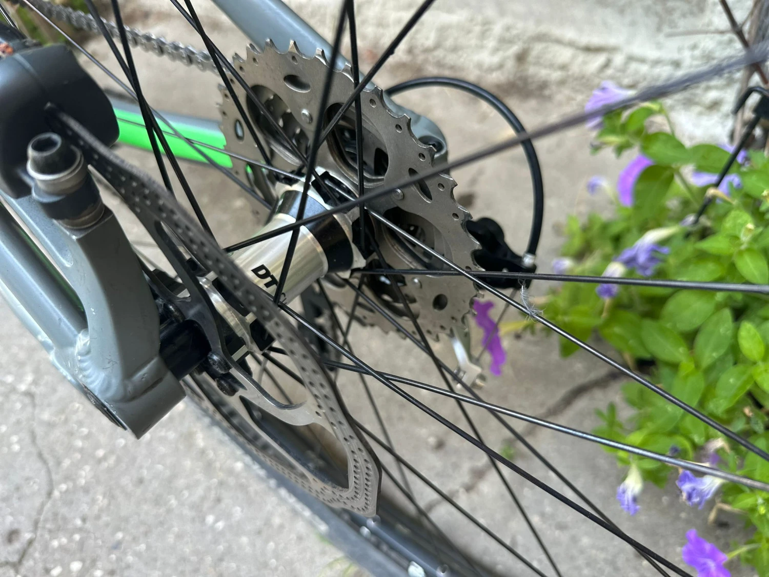 6. Canyon Nerve Al 29