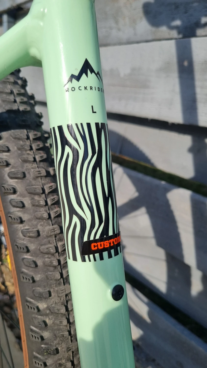 10. Rockrider Race 700 29" 1x12 GX / Fox 32 Elite / Custom