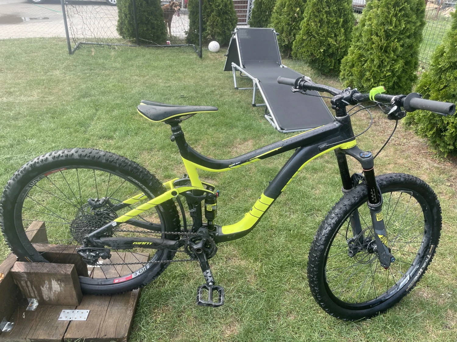 1. Bicicleta giant regin