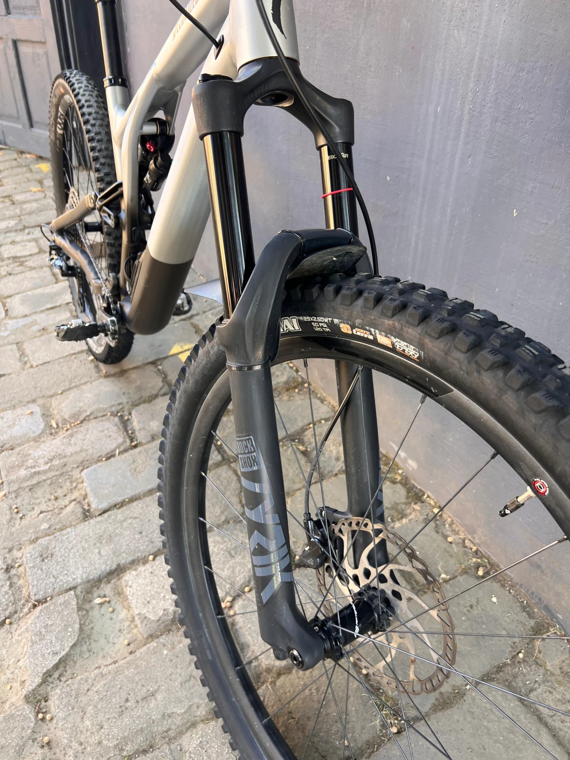 4. Specialized Stumpjumper Evo Alloy Custom