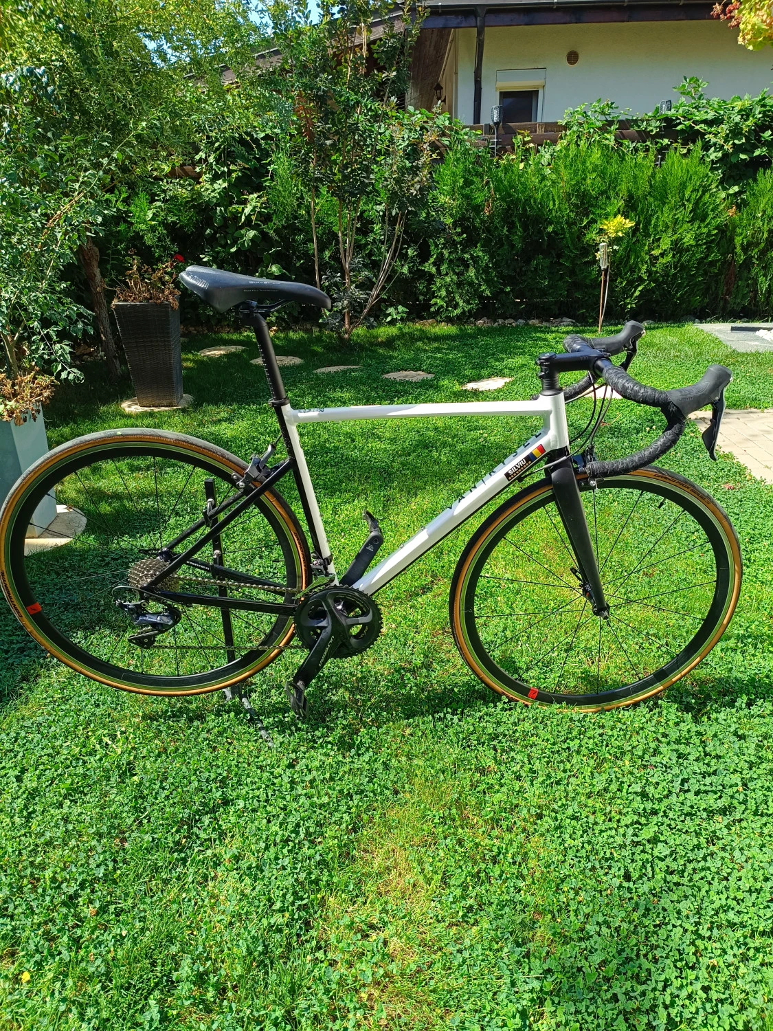 1. Van Rysel EDR AF Ultegra