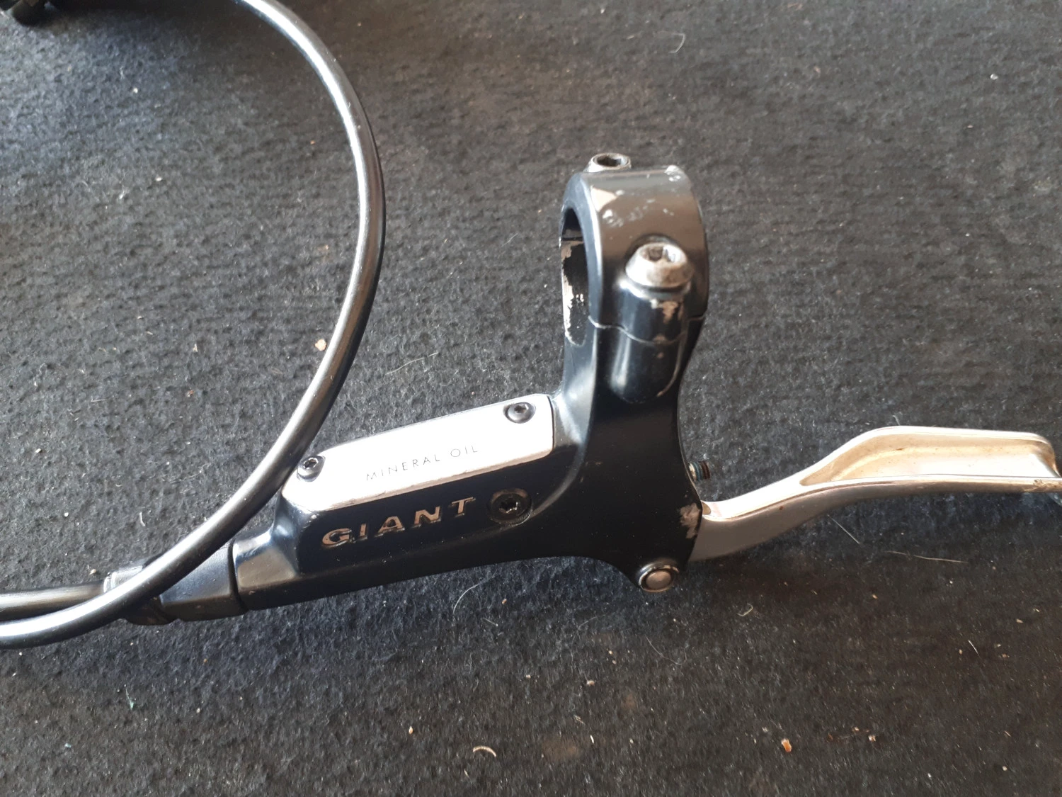6. Frane Giant