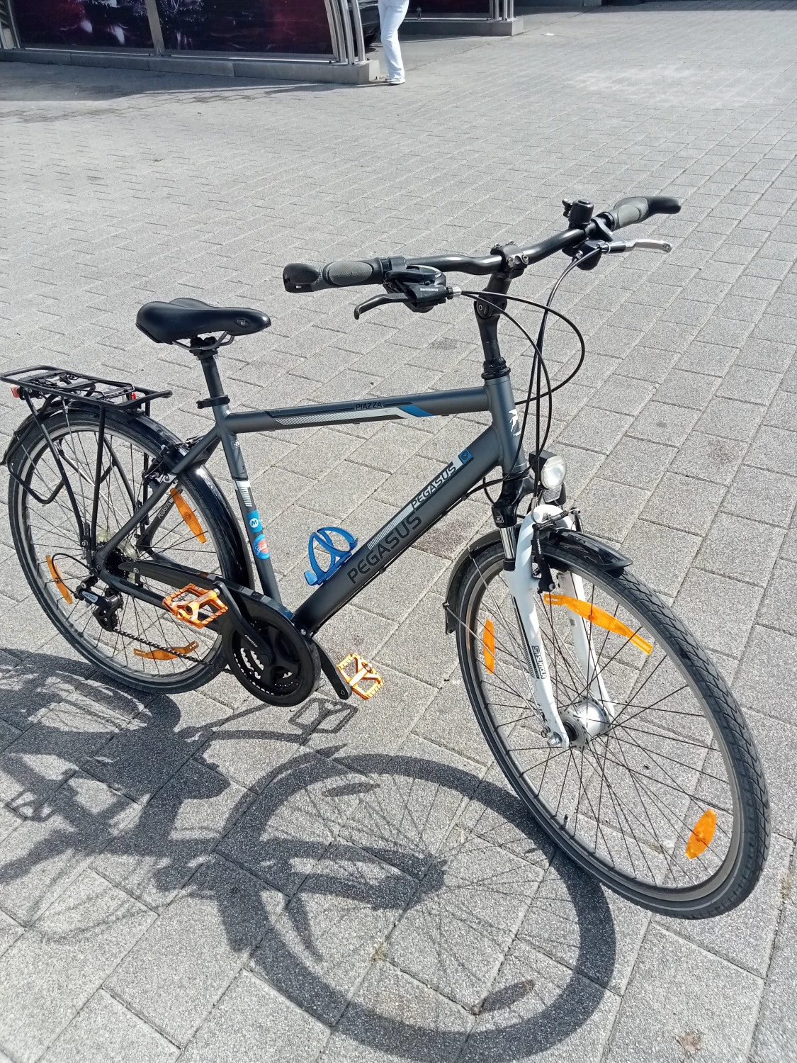1. Bicicleta Pegasus M